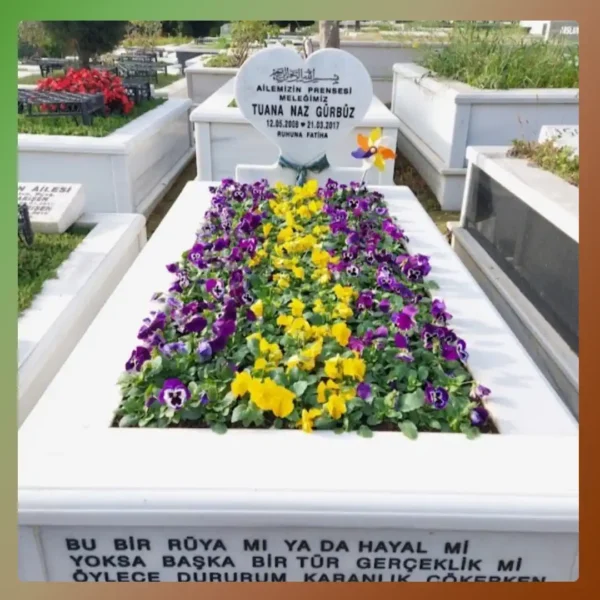 Çalışma 19