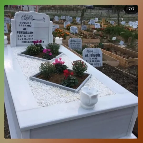Çalışma 7