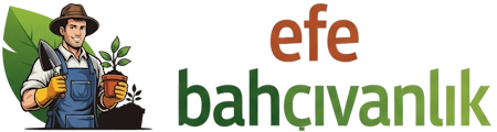 EFE BAHÇIVANLIK MEZAR BAKIM ÇİÇEKLENDİRME İSTANBUL