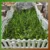 Çalışma 74